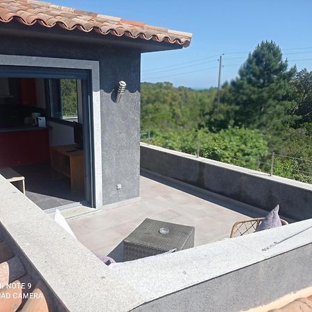 Chez J, Appartement A L'Etage, T3 Lecci Eksteriør billede
